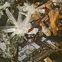 Calcioburbankite, Manganoneptunite