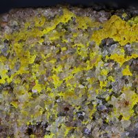 Carnotite, Sandstone