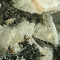 Umbite