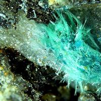 Agardite-(Y), Cerussite