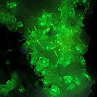 Gaidonnayite, Elpidite, Microcline