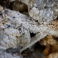 Kaliophilite
