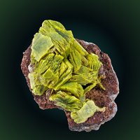 Uranocircite