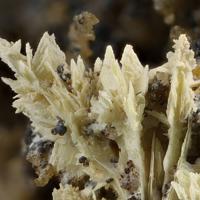 Calcioferrite, Hydroxylapatite, Whitlockite