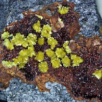 Carminite, Beudantite-Segnitite Series