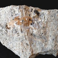 Pachnolite, Gearksutite, Elpidite