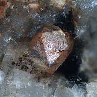 Dalyite