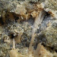 Kaliophilite