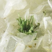 Jamborite, Calcite