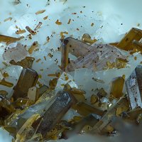 Iimoriite-(Y), Allanite-(Ce), Dolomite