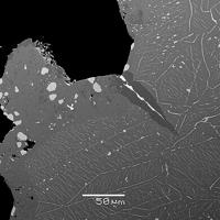 Cabriite, Paolovite, Niggliite
