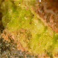 Cadwaladerite