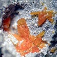 Bazhenovite