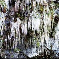 Ice