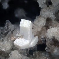 Falottaite, Lindbergite