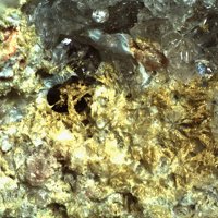 Macquartite, Quartz