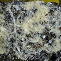 Canavesite, Dypingite