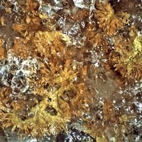 Macquartite