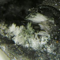Fassinaite