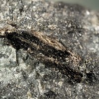 Lamprophyllite