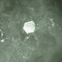Nasonite