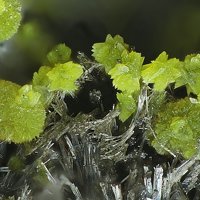 Gartrellite, Mimetite