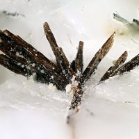 Uranopolycrase, Foitite