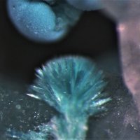 Quetzalcoatlite, Eurekadumpite