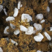 Lanthanite-(Ce)