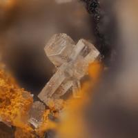 Caracolite