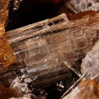 Kaliophilite