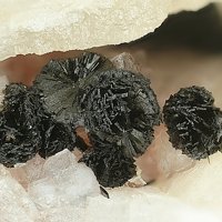 Rankachite