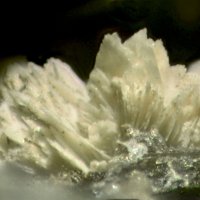 Lanthanite-(Ce)