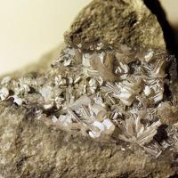 Afwillite