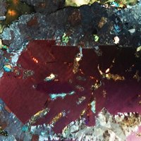 Rammelsbergite, Nickeline, Bismuth