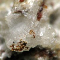 Nasonite