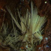 Adamsite-(Y)