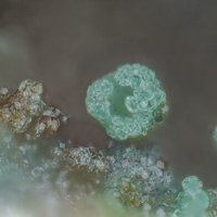 Osarizawaite