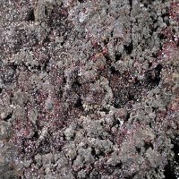 Xanthoconite, Proustite, Quartz