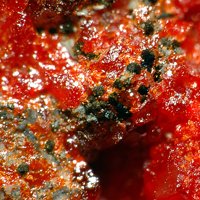 Raguinite, Realgar