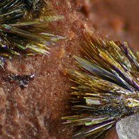 Rankachite