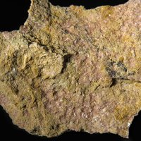 Lanthanite-(Nd)