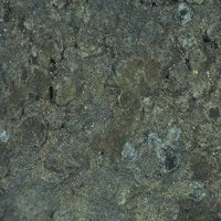 Caryopilite