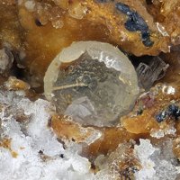 Lanthanite-(Ce), Allophane