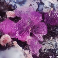 Sainfeldite, Picropharmacolite