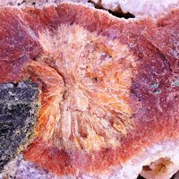 Dachiardite-Na