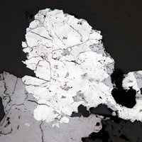 Jankovićite, Realgar, Quartz