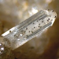 Eakerite, Pyrite