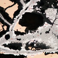 Vaesite, Nickeline, Rammelsbergite