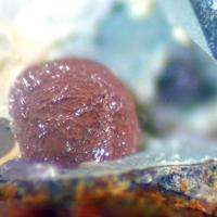 Calcioancylite-(Nd)